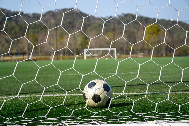 技的舞台 技的舞台