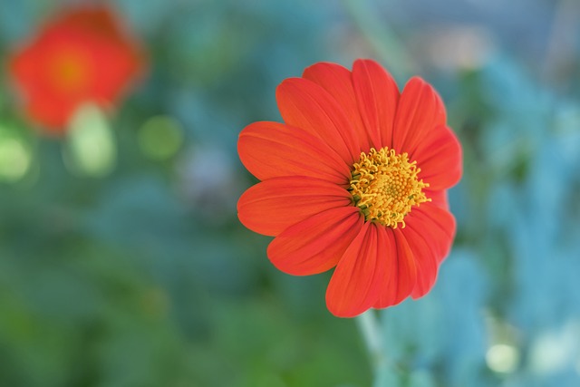 为他的职业 为他的职业