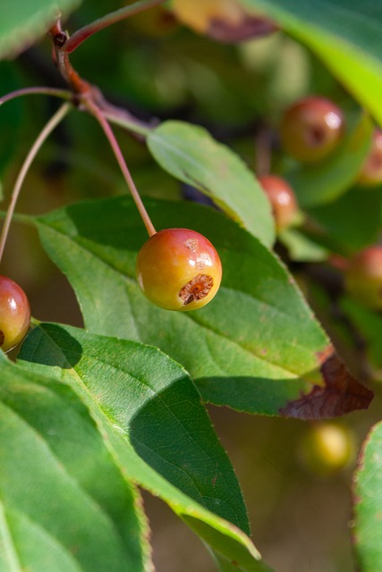 值得一提的 值得一提的