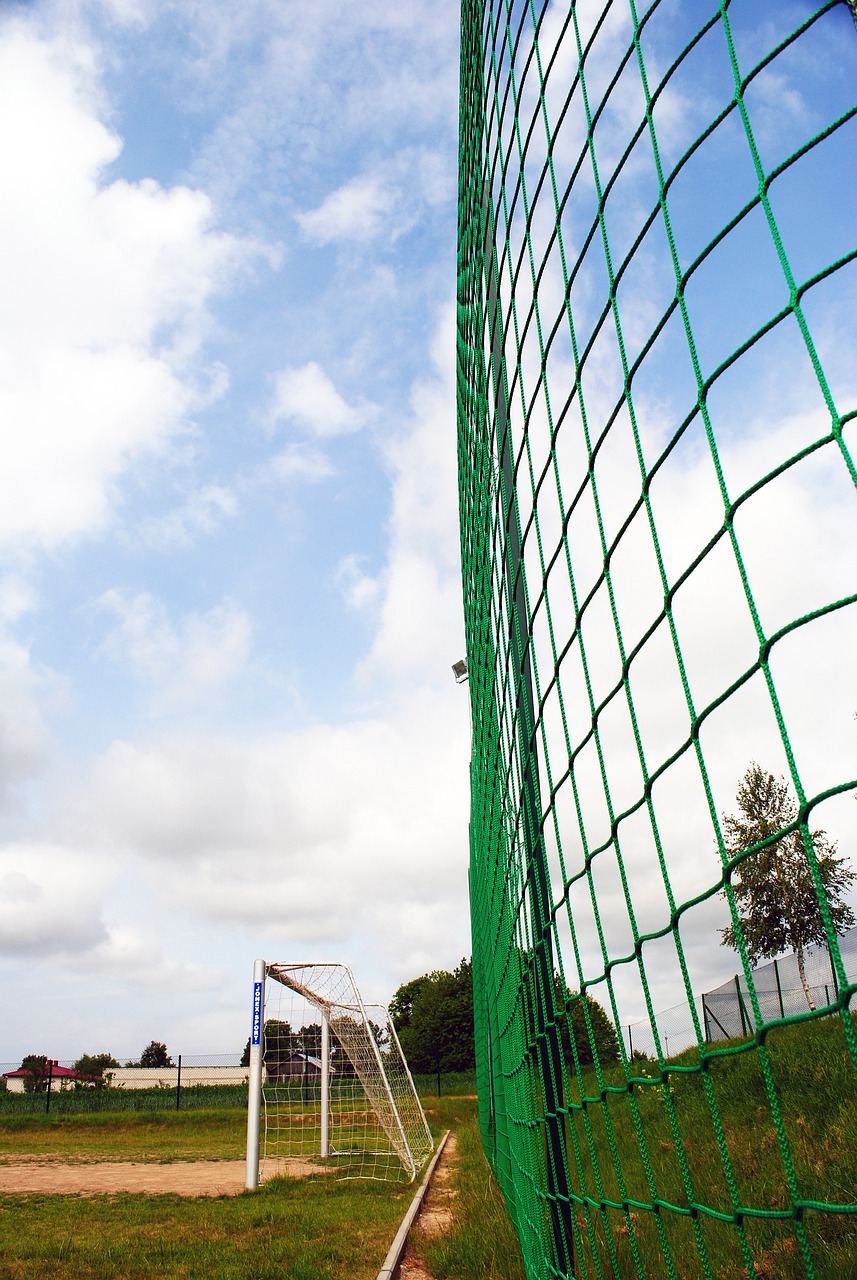 巴西球队在 巴西球队在